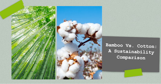 Bamboo Vs. Cotton: A Comprehensive Comparison in Sustainability