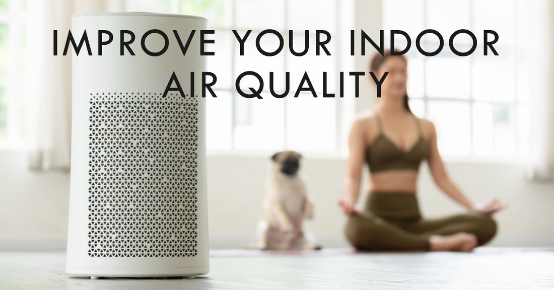 The Importance of Indoor Air Quality and How to Improve It