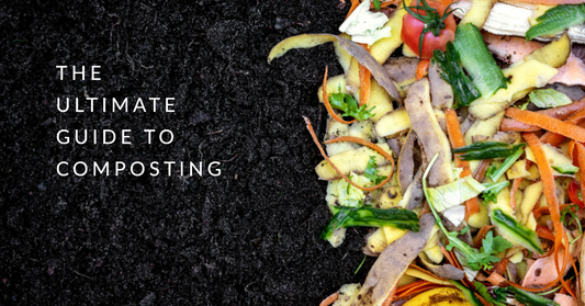 The Ultimate Guide to Composting: How to Turn Your Food Waste into Nutrient-Rich Soil