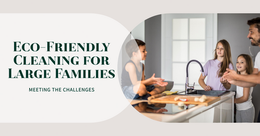 Eco-Friendly Cleaning for Large Families: Meeting the Challenges