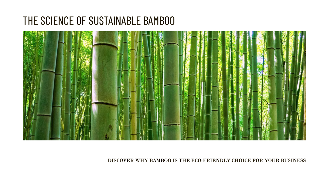 The Science Behind Bamboo: Why It's a Sustainable Choice