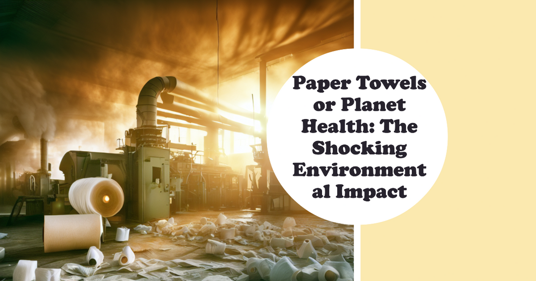 Paper Towels or Planet Health: The Shocking Environmental Impact