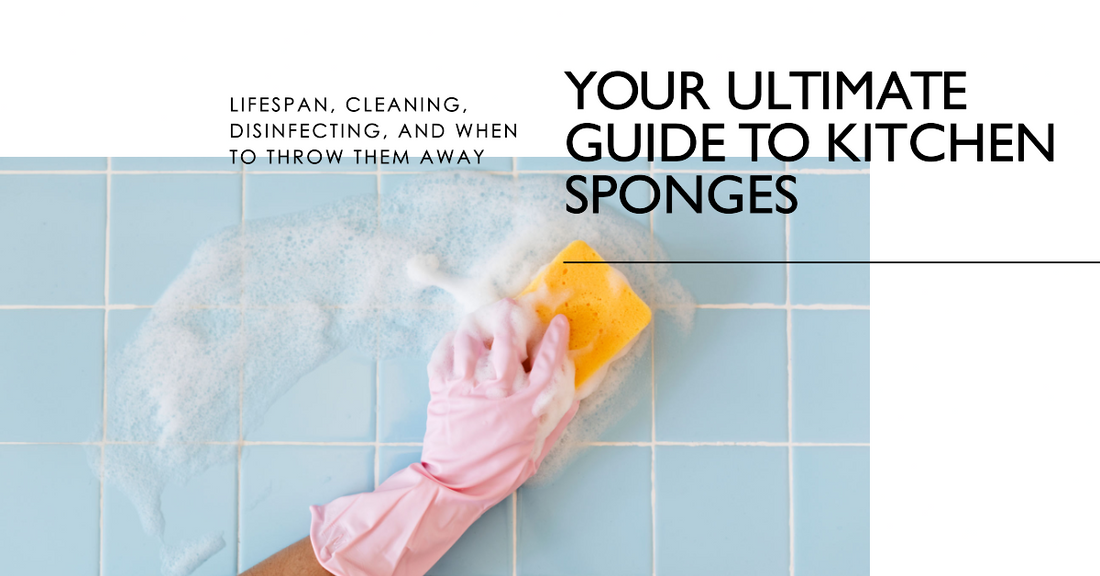Your Ultimate Guide to Kitchen Sponges: Lifespan, Cleaning, Disinfecting, and When to Throw Them Away