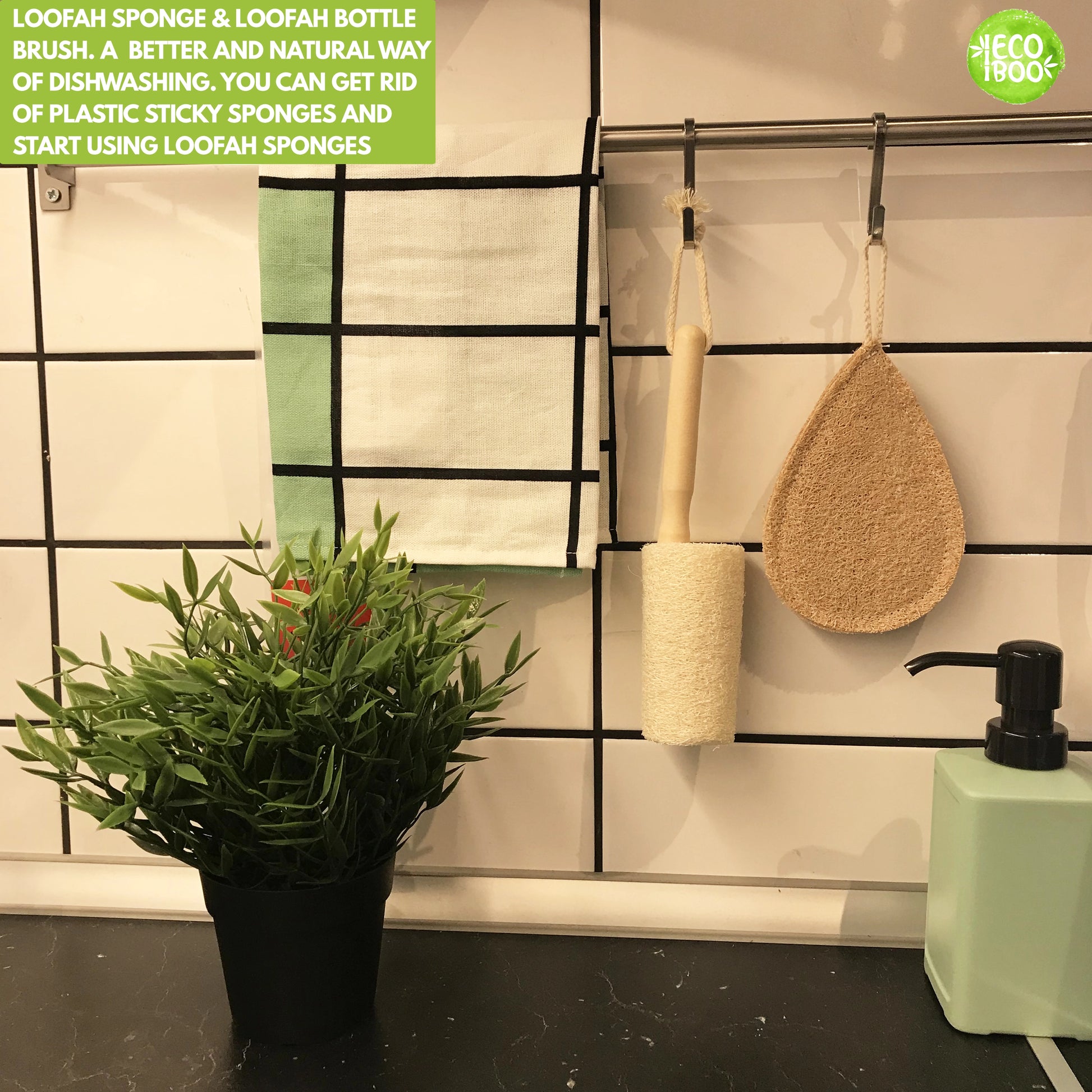 Dish Brush & Holder Set : All Natural Bamboo